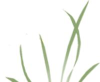 养生堂3分钟查出3种癌完整视频,养生堂三分钟检查肠癌全部视频