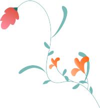 养生堂3分钟查出3种癌完整视频,养生堂三分钟检查肠癌全部视频