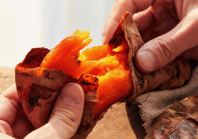 日本代购火爆产品,日本进口烤箱价格