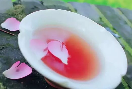 春天吃花要关注！吃错会中毒，头晕恶心呕吐，每年都有人中招
