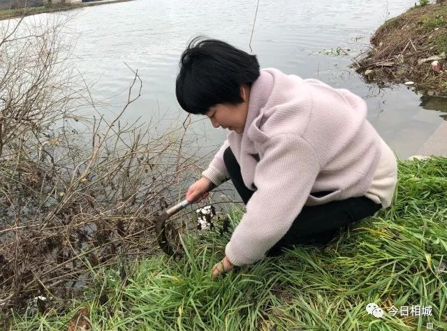 黑芝麻蛋黄肉松软糯香甜的青团子,苏州哪里的青团子比较好吃啊