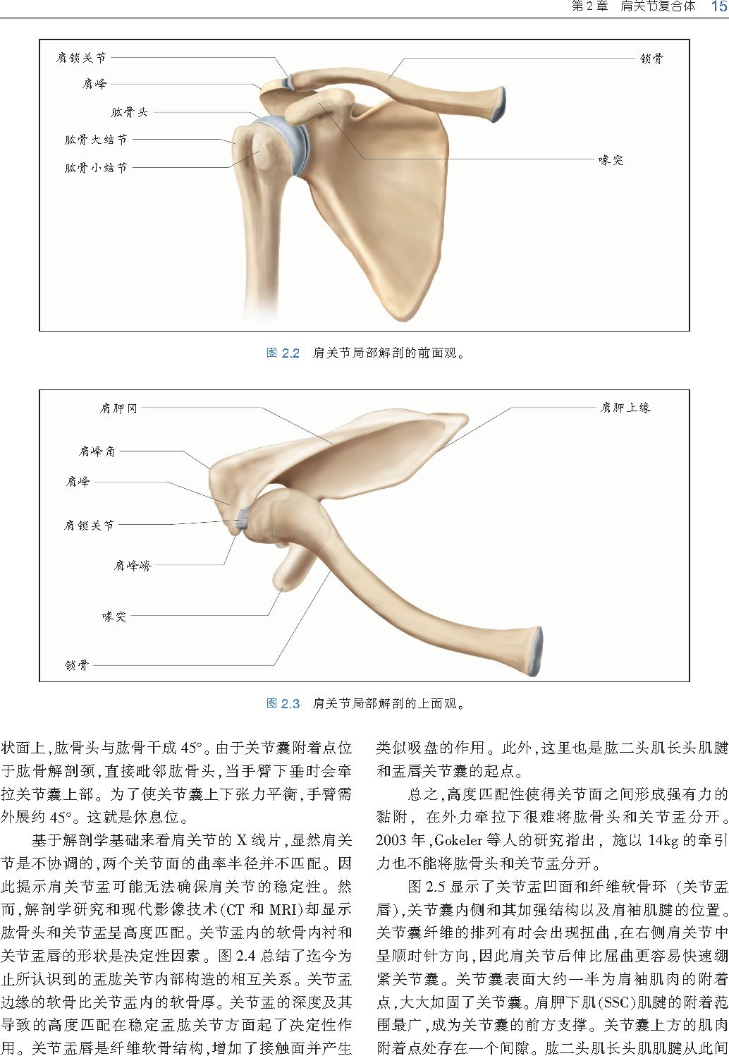好书推荐|《触诊技术》---李哲人体科学团队---开年首发