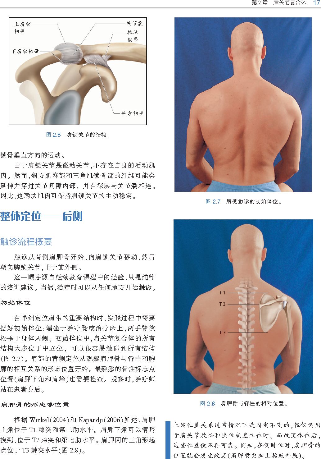 好书推荐|《触诊技术》---李哲人体科学团队---开年首发