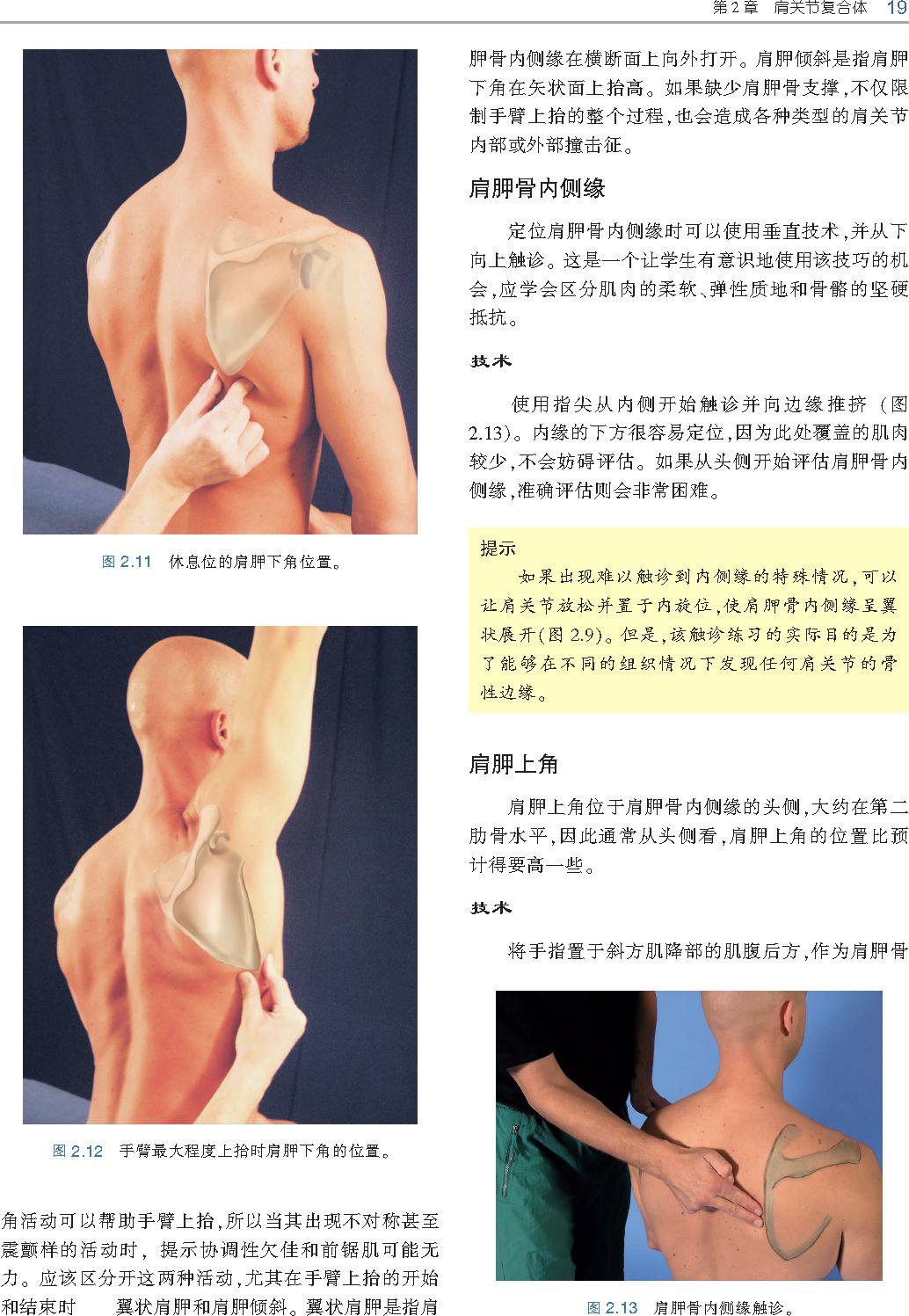 好书推荐|《触诊技术》---李哲人体科学团队---开年首发