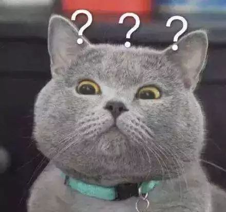 正经科普：今天不是情人节吗，跟癫痫日有啥关系？