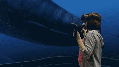 今年元宵哪里有活动,元宵活动舟山