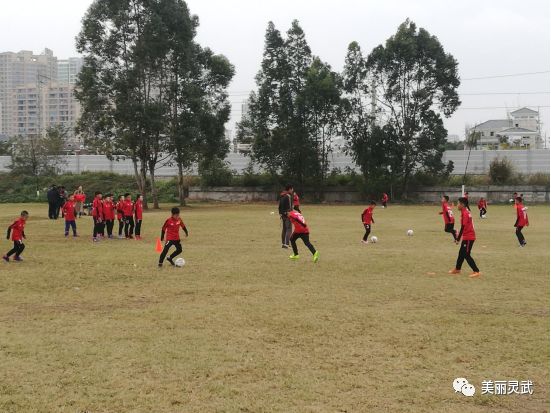 灵武足球队2018全部名单,灵武市青少年足球队