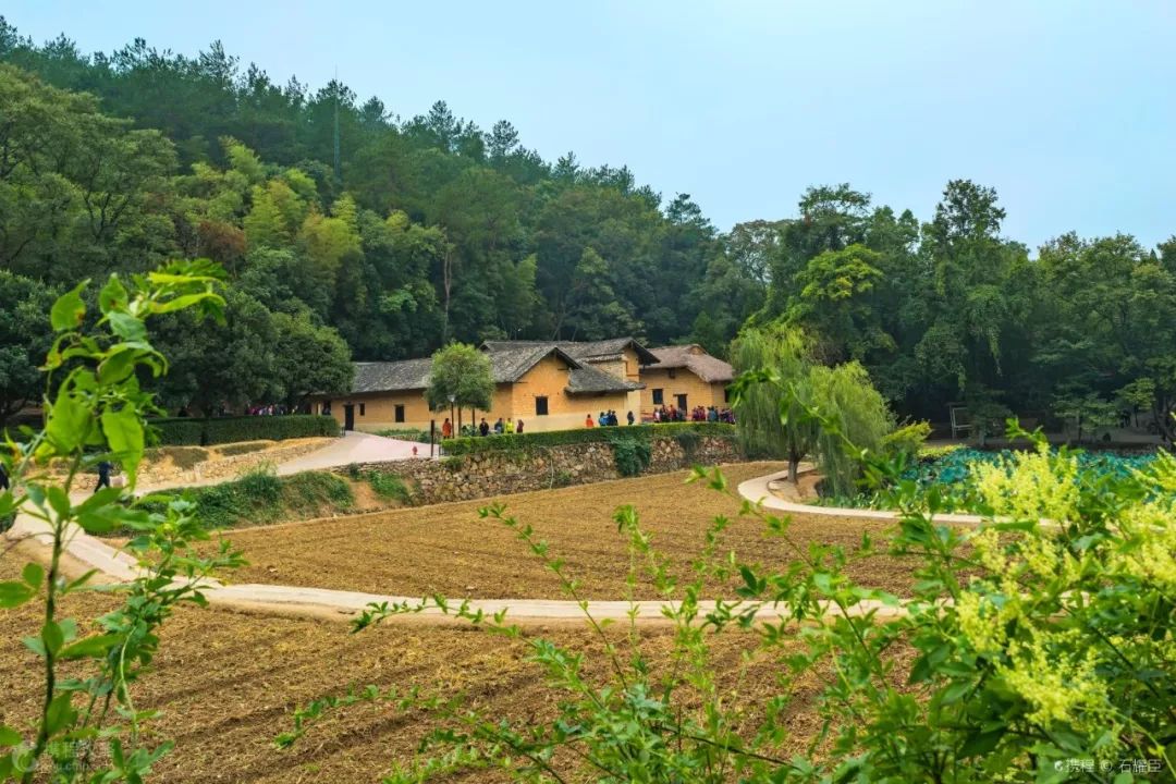 港珠澳旅游专列,498元港珠澳七日游