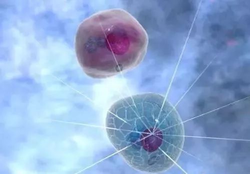 鏃ユ湰鐨勭編瀹归拡,缇庡閽堢殑绉樺瘑