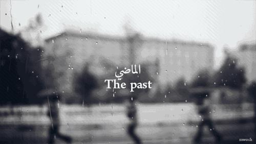 口哨版《昨日重现》太舒心了！非常值得去听完这个讲座