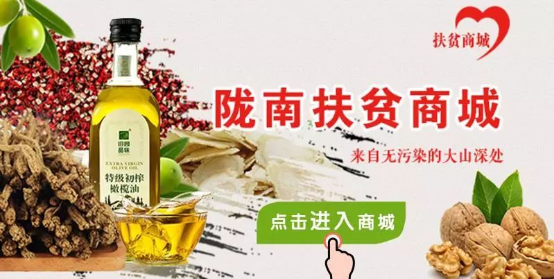 说走就走的旅行机票已订,陇南机场航线有哪些