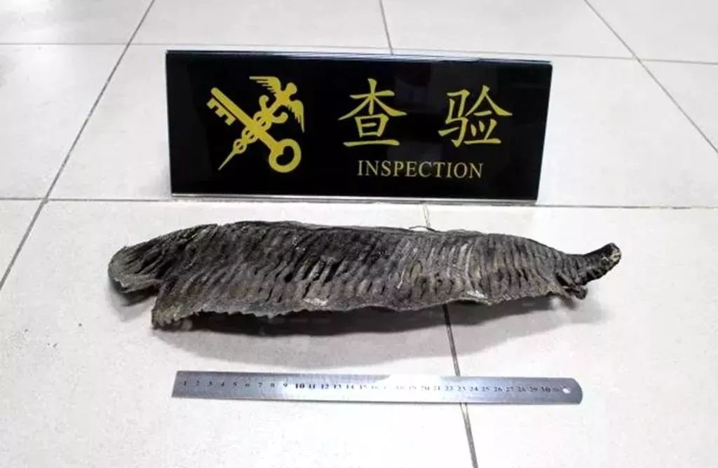 河源人能不能开车去香港,河源人一个人能去几次香港