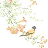 冬日泰山温泉城,泰山温泉一日游