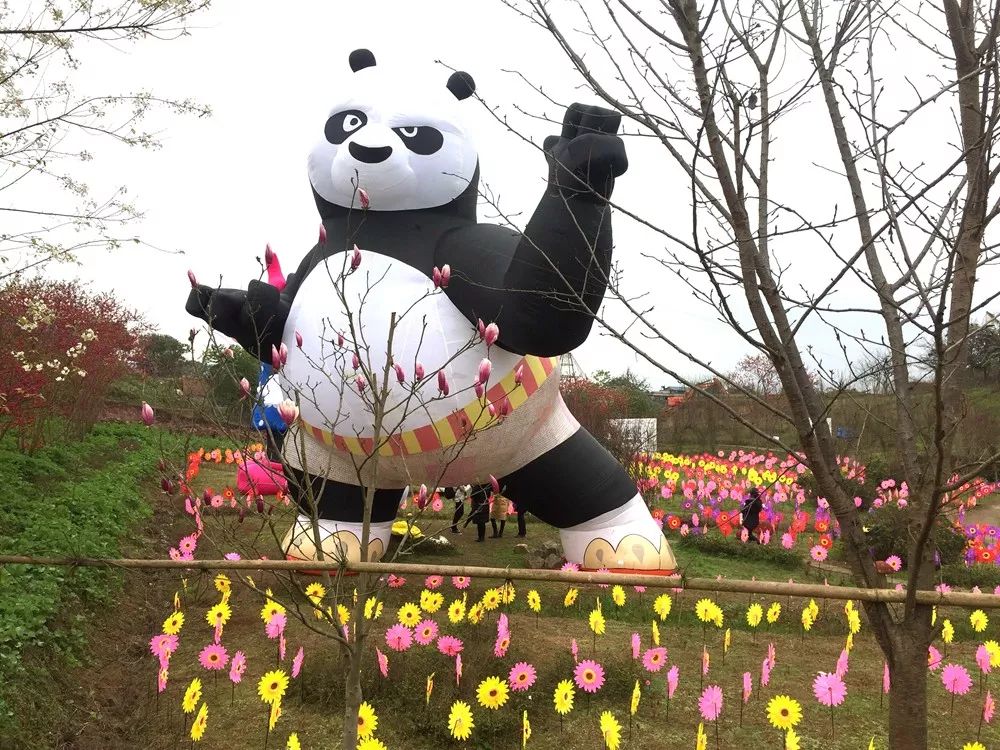 景点打卡石门花海,美哭了景区