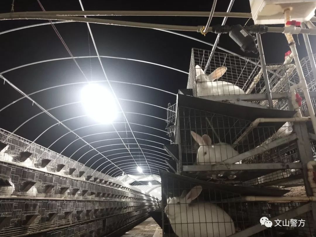 民警转移暴雨被困群众简报,暴雨险情民警为群众撑起平安伞