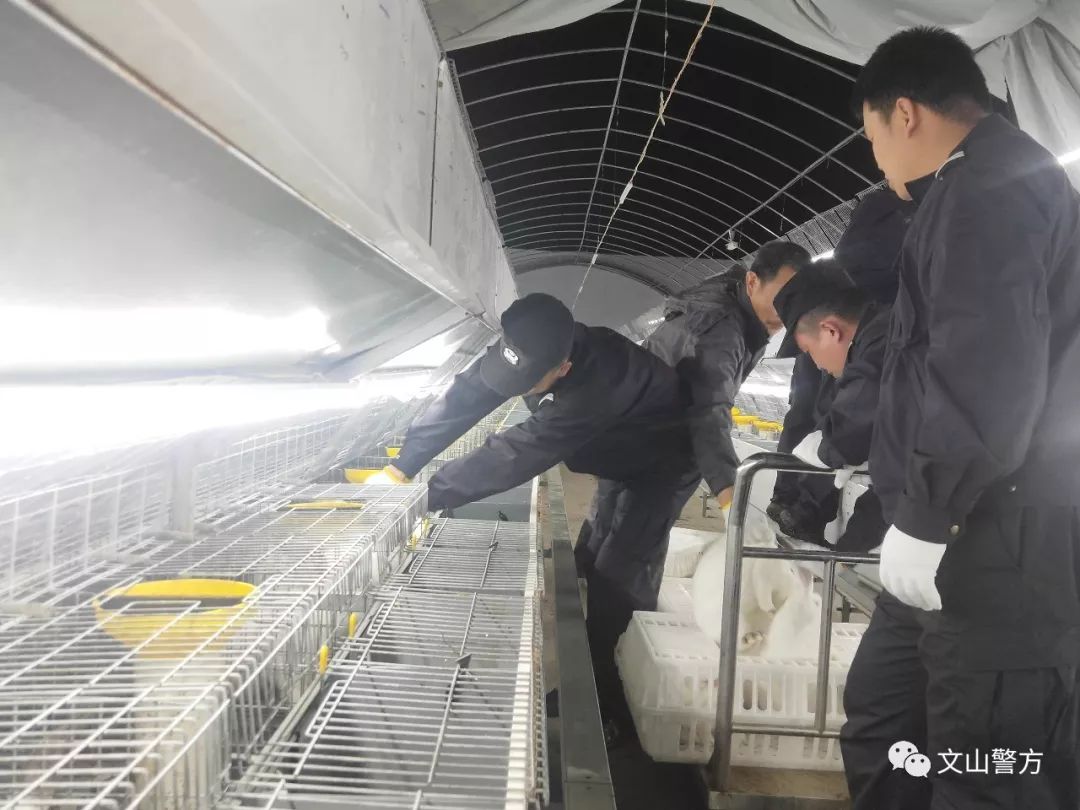 民警转移暴雨被困群众简报,暴雨险情民警为群众撑起平安伞