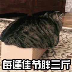 每逢佳节胖三斤暴瘦全身,每逢佳节胖三斤是真的吗