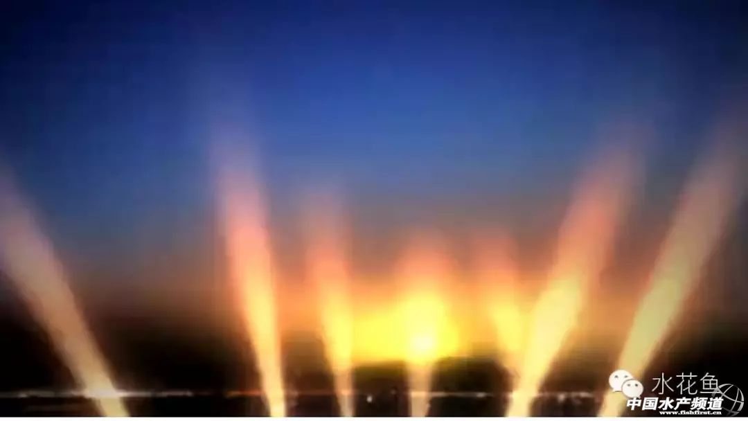 用灯光养树可以吗,用灯光可以养植物吗