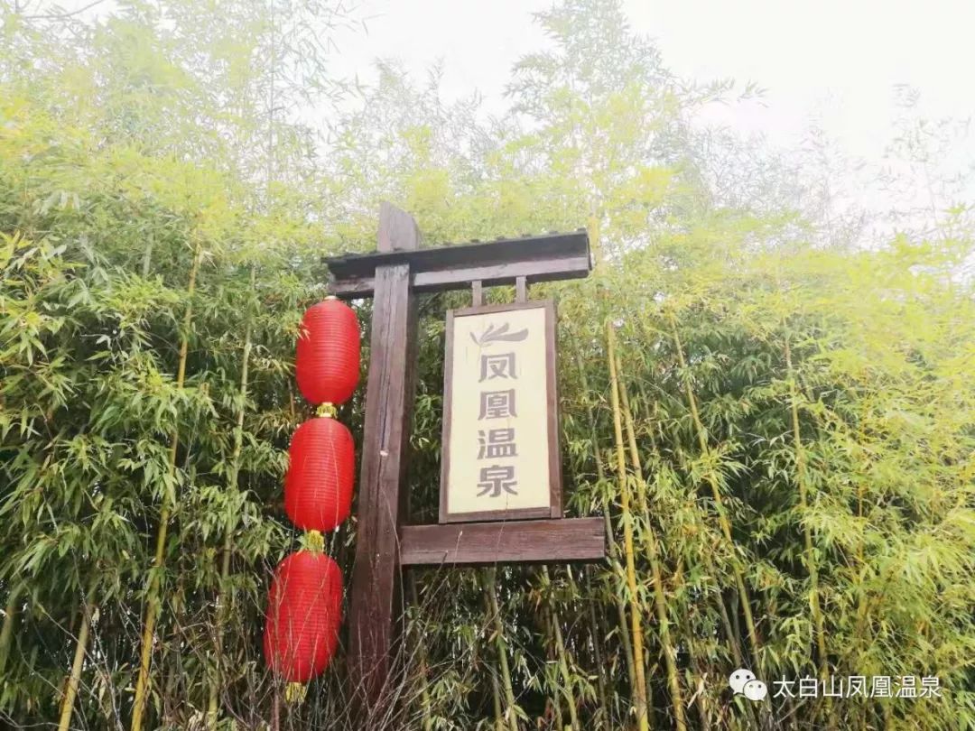 太白山凤凰温泉美食攻略,太白山温泉自助餐一体畅吃畅玩