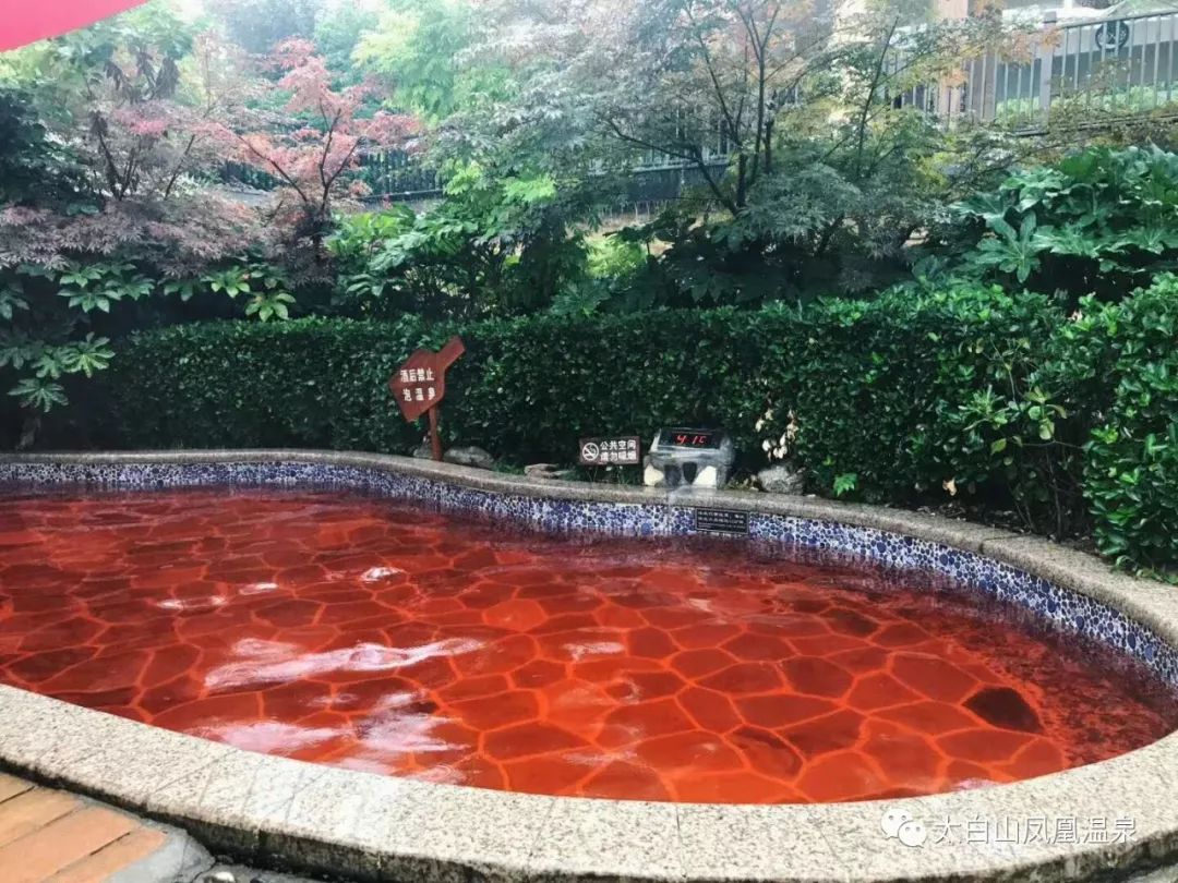 太白山凤凰温泉美食攻略,太白山温泉自助餐一体畅吃畅玩