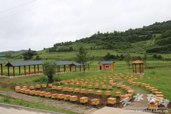 2017年清水县领导班子,清水县乡镇各党委书记