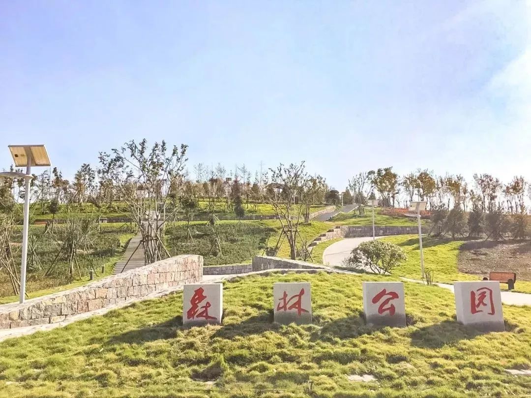 郑州适合骑车去玩的地方,郑州周边适合骑行的公园