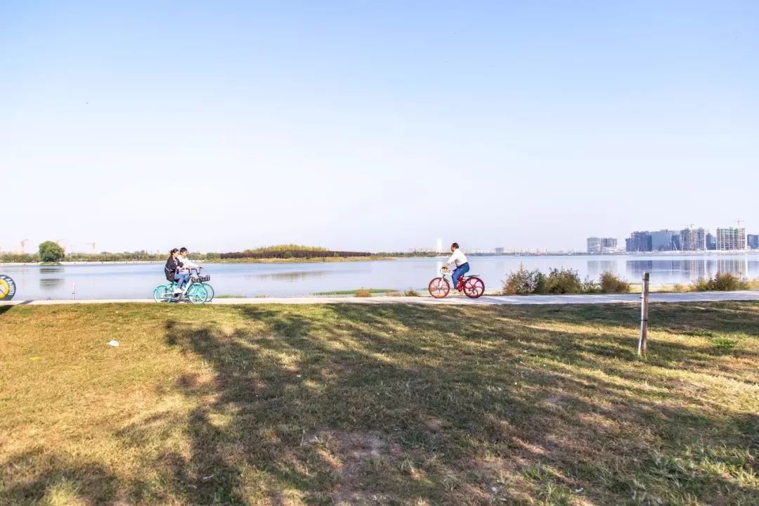 郑州适合骑车去玩的地方,郑州周边适合骑行的公园
