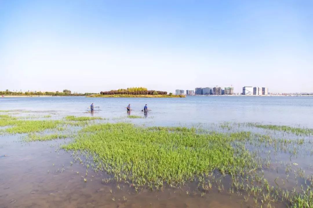 郑州适合骑车去玩的地方,郑州周边适合骑行的公园