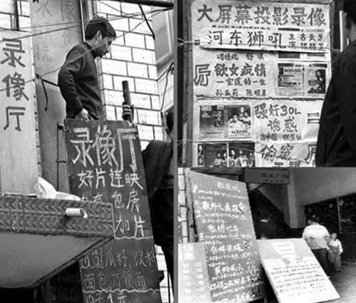 王欣的一生,王欣努力成长