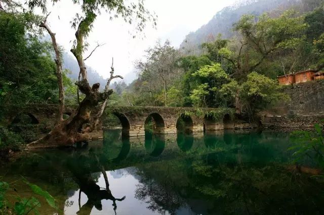 五一贵阳到哪里的机票最便宜,贵阳出发便宜机票