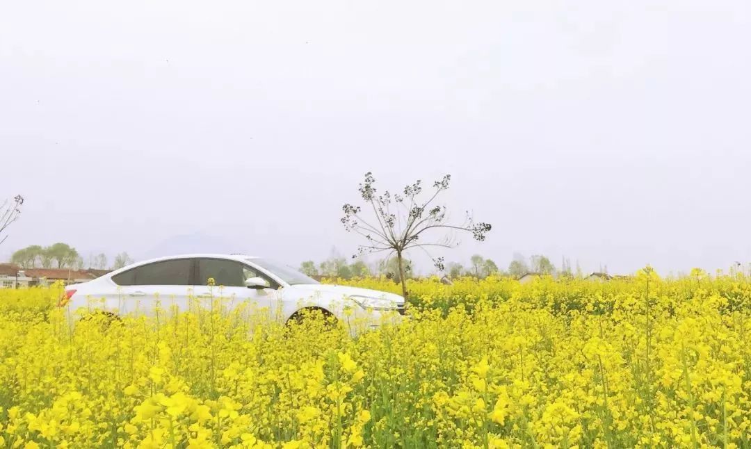 汉中5月玩的地方推荐,汉中四月好玩的地方推荐