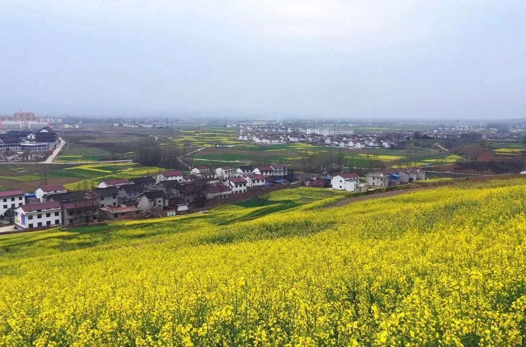 汉中5月玩的地方推荐,汉中四月好玩的地方推荐