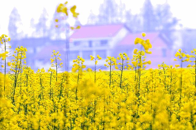 汉中5月玩的地方推荐,汉中四月好玩的地方推荐