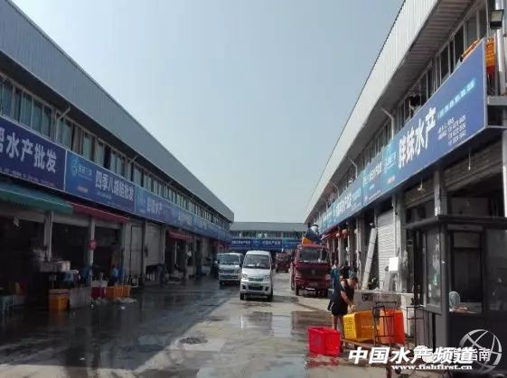 中国水产品市场情况分析,2023水产品批发市场分析报告
