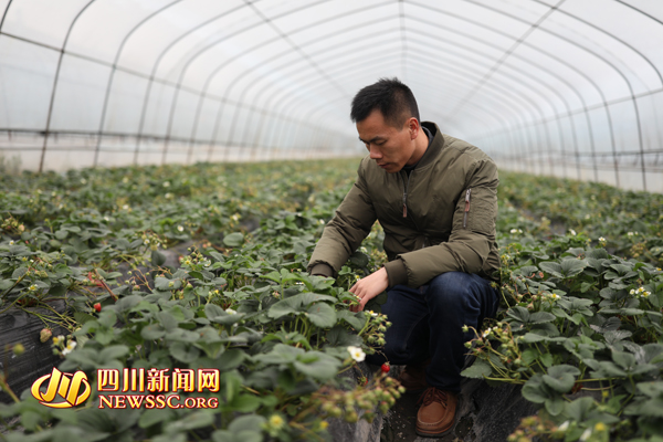 农民工返乡创业带动贫困户就业,筑巢引凤回乡创业