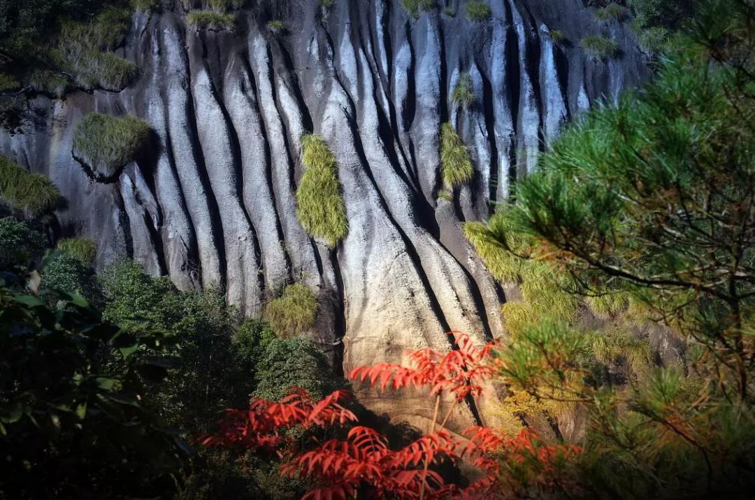 宁德有哪些地方有国字号,宁德地区国字号