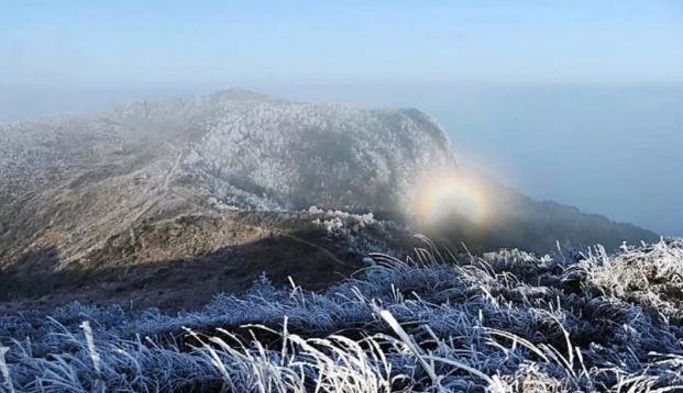 宁德有哪些地方有国字号,宁德地区国字号