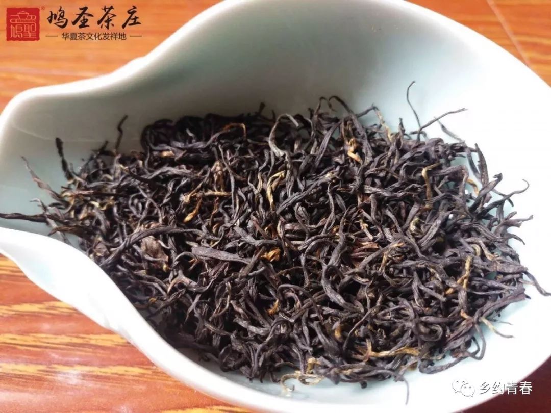 乡村振兴青年先行的实践报告,乡村振兴青年总结