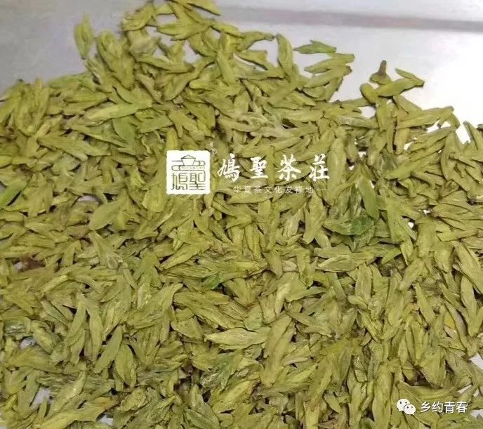 乡村振兴青年先行的实践报告,乡村振兴青年总结