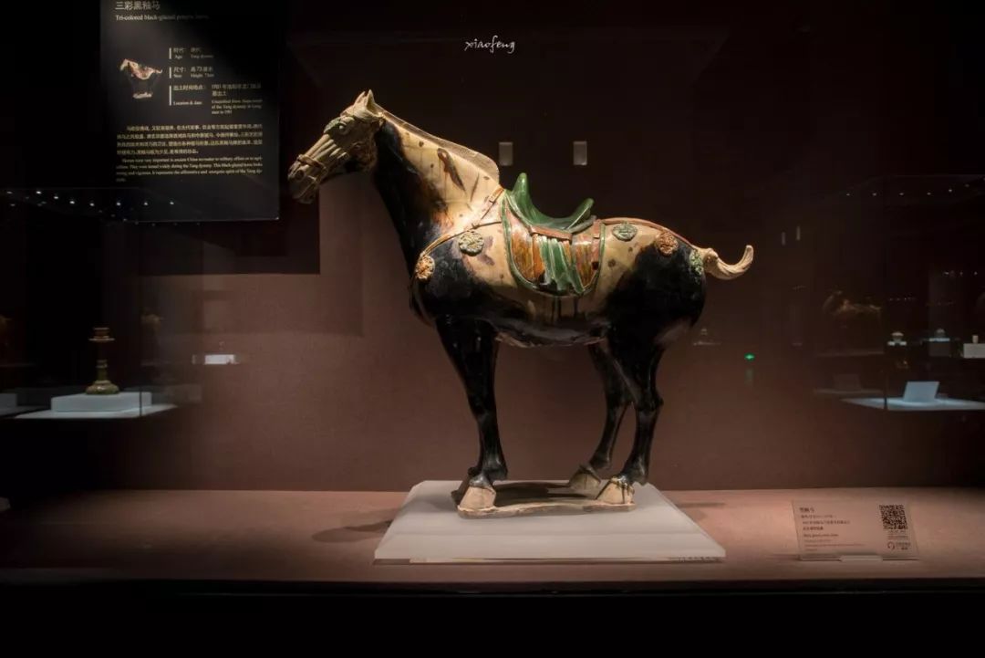 深度揭秘！洛阳人的家门口竟然藏着这么多宝藏！还有5大稀世珍品！没去过太遗憾了！