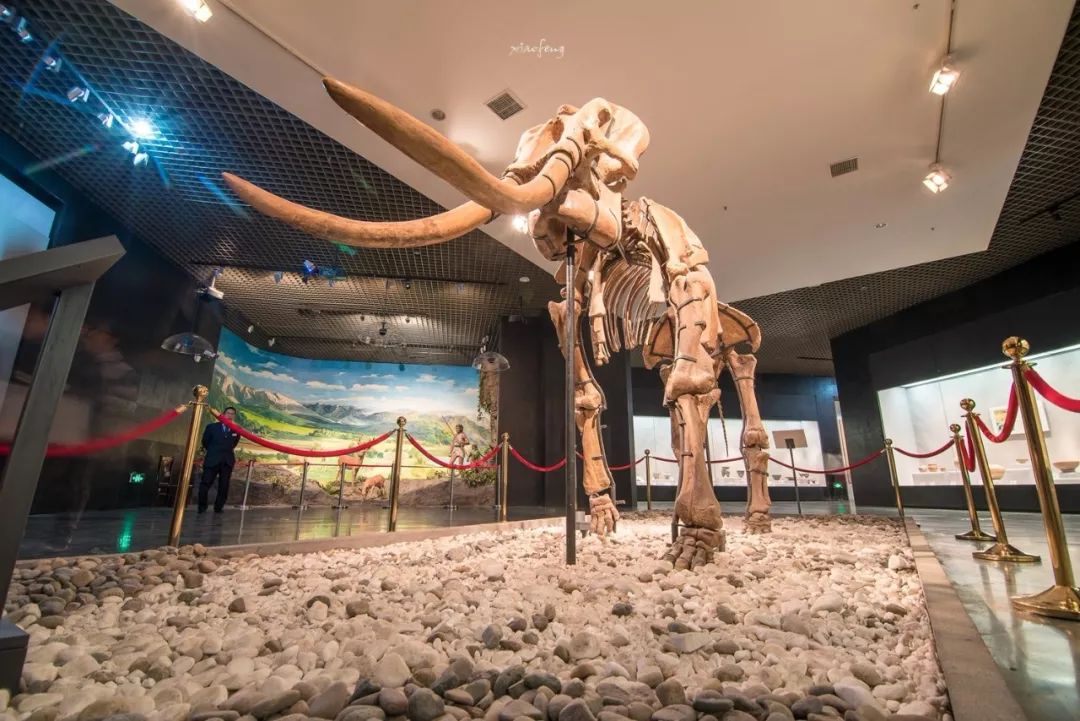 深度揭秘！洛阳人的家门口竟然藏着这么多宝藏！还有5大稀世珍品！没去过太遗憾了！