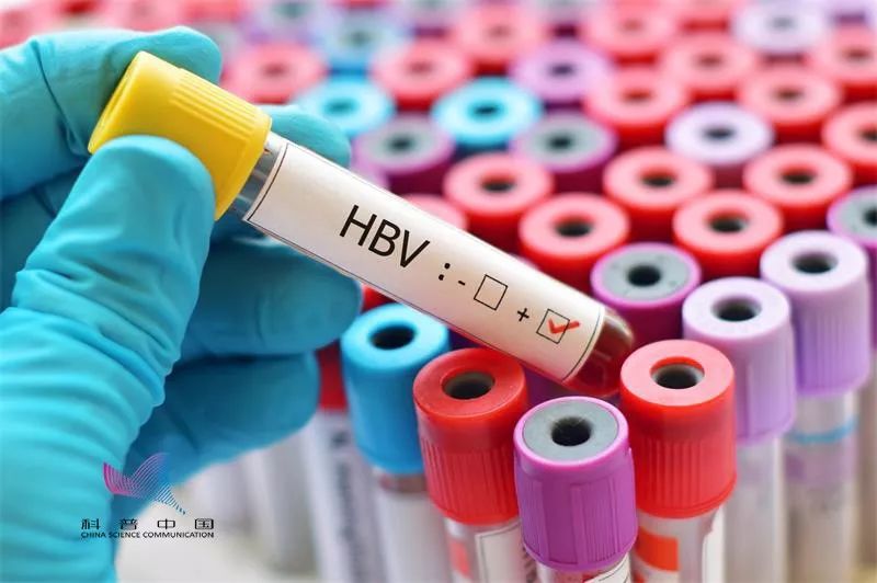 洗血净化,血液净化揭秘