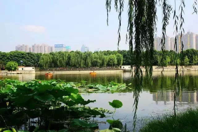 武汉地铁周边旅游景点,武汉五一出游景点推荐