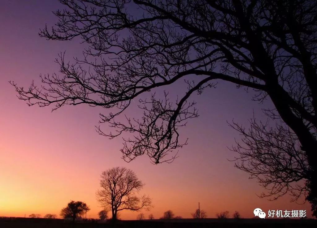 摄影中的意境是什么意思,摄影中的美学有哪些