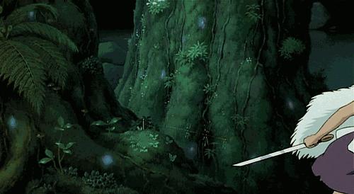 宫崎骏的夏天龙猫千与千寻,宫崎骏千与千寻国内上映时间