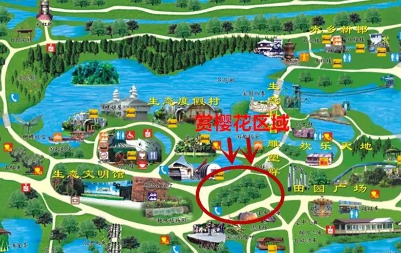 樱花季又来啦,樱花季来啦