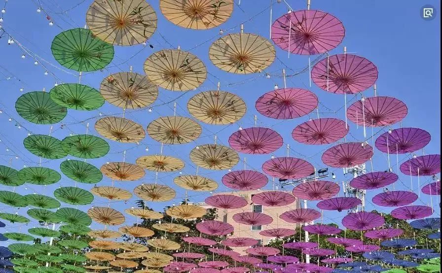 樱花季又来啦,樱花季来啦