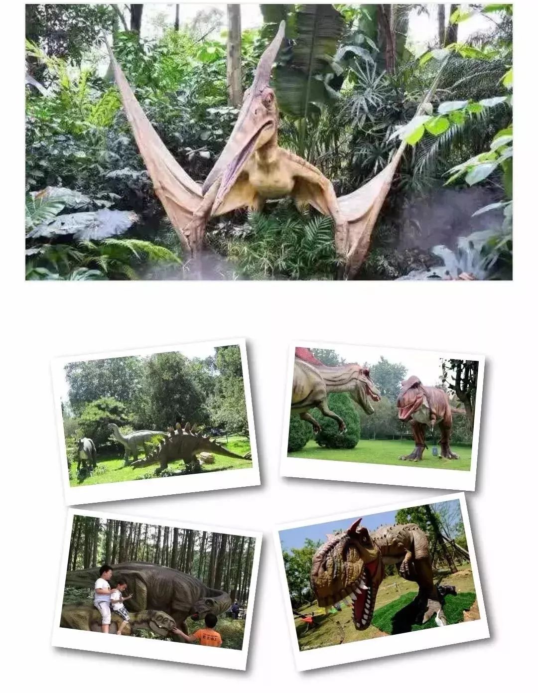 樱花季又来啦,樱花季来啦