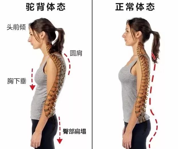 情人节福利礼包,情人节福利秒杀