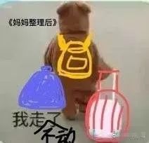 嘿！同学，你的行李箱怎么这么沉？装了啥？